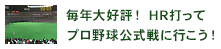 毎年大好評！HR打ってプロ野球公式戦に行こう！